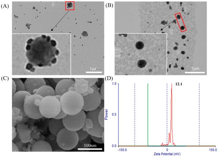 https://cdn.ncbi.nlm.nih.gov/pmc/blobs/42de/8123207/bc893c925def/molecules-26-02490-g004.jpg