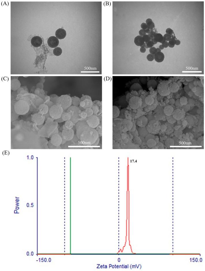 https://cdn.ncbi.nlm.nih.gov/pmc/blobs/42de/8123207/c6eb4687abbd/molecules-26-02490-g003.jpg