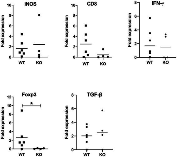 https://cdn.ncbi.nlm.nih.gov/pmc/blobs/42df/9873264/6e22031eda6c/fmicb-13-1045106-g005.jpg