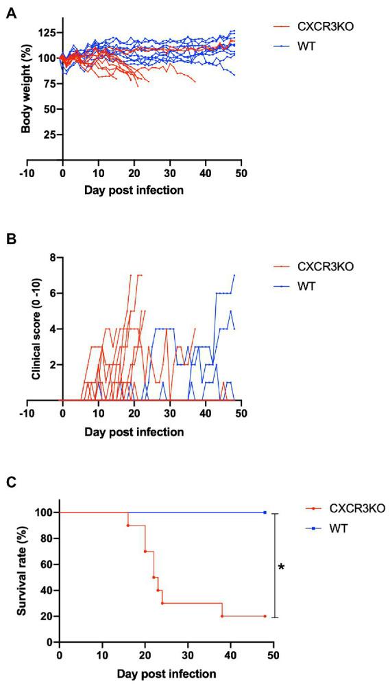 https://cdn.ncbi.nlm.nih.gov/pmc/blobs/42df/9873264/c66df5074c93/fmicb-13-1045106-g002.jpg