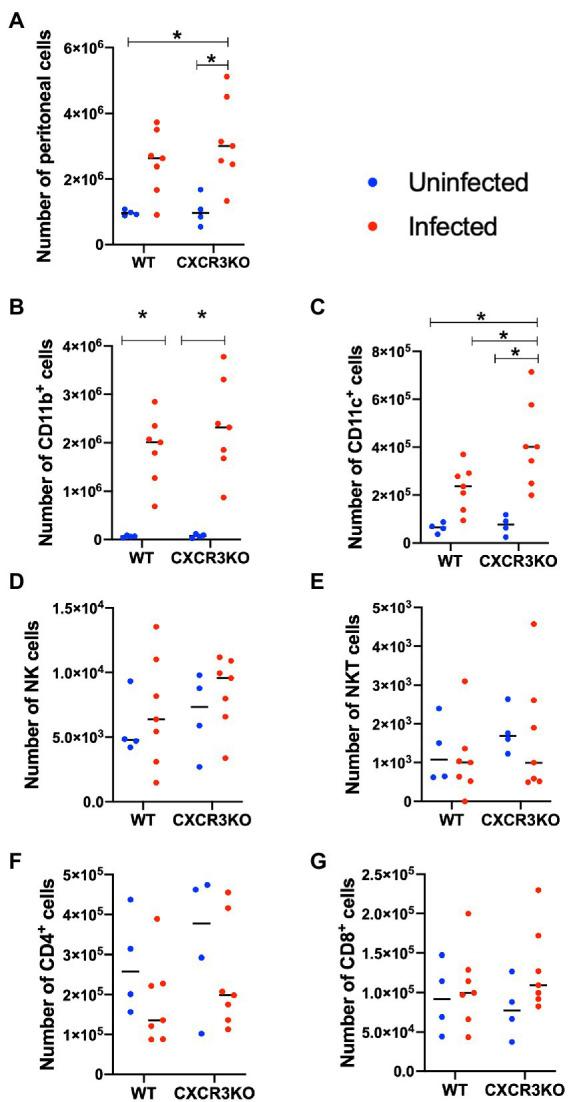 https://cdn.ncbi.nlm.nih.gov/pmc/blobs/42df/9873264/d62440a20c83/fmicb-13-1045106-g003.jpg