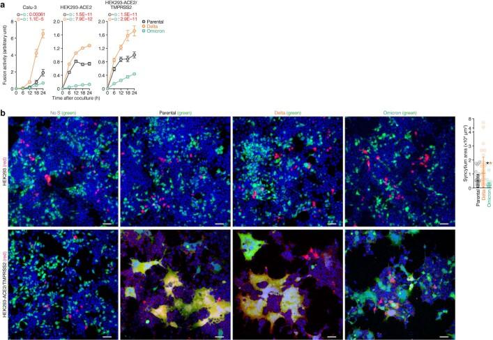 https://cdn.ncbi.nlm.nih.gov/pmc/blobs/42e0/8942852/717042a58fa4/41586_2022_4462_Fig8_ESM.jpg