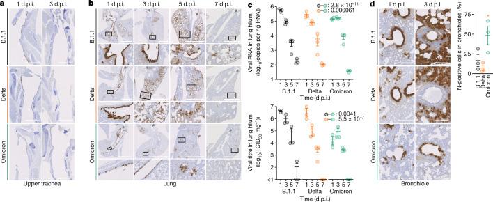 https://cdn.ncbi.nlm.nih.gov/pmc/blobs/42e0/8942852/7ef24c1cf8a4/41586_2022_4462_Fig4_HTML.jpg