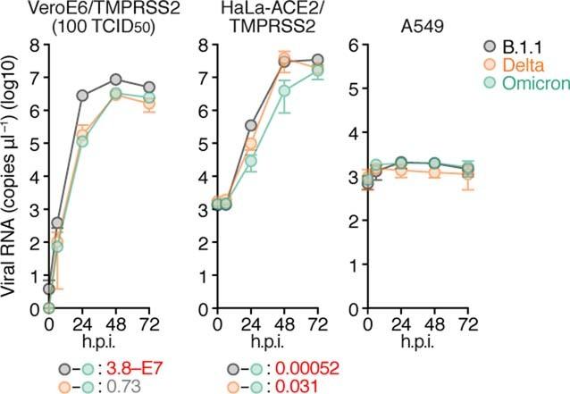 https://cdn.ncbi.nlm.nih.gov/pmc/blobs/42e0/8942852/8d9e3407144d/41586_2022_4462_Fig7_ESM.jpg