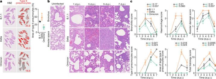 https://cdn.ncbi.nlm.nih.gov/pmc/blobs/42e0/8942852/aaa7b976436b/41586_2022_4462_Fig5_HTML.jpg