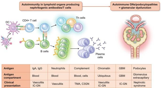 https://cdn.ncbi.nlm.nih.gov/pmc/blobs/42e1/10635795/b32c63a1c2f8/gfad067fig2.jpg