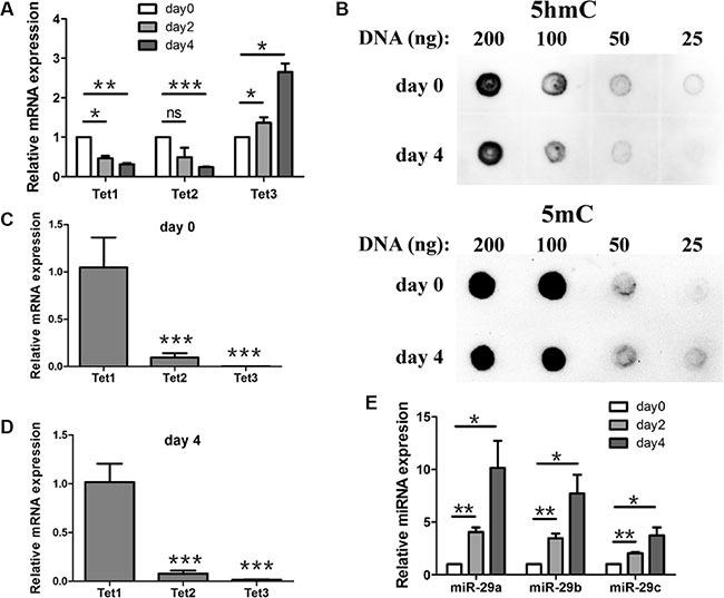 https://cdn.ncbi.nlm.nih.gov/pmc/blobs/42e2/5323127/b7711e27ba84/oncotarget-07-64932-g002.jpg