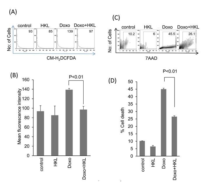 https://cdn.ncbi.nlm.nih.gov/pmc/blobs/42e4/5470953/c85af5e873d2/oncotarget-08-34082-g001.jpg