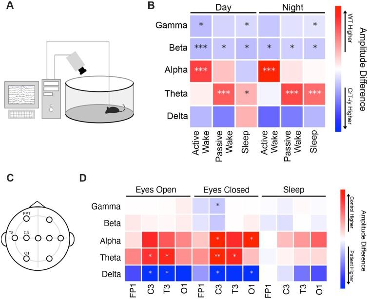 https://cdn.ncbi.nlm.nih.gov/pmc/blobs/42e5/7472907/c1b8603913cd/braincomms_2_2_fcaa089_f1.jpg