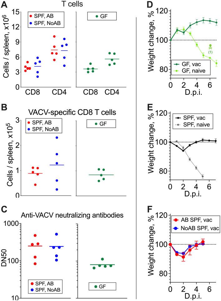 https://cdn.ncbi.nlm.nih.gov/pmc/blobs/42e5/9022886/2182b67c9365/ppat.1009854.g007.jpg