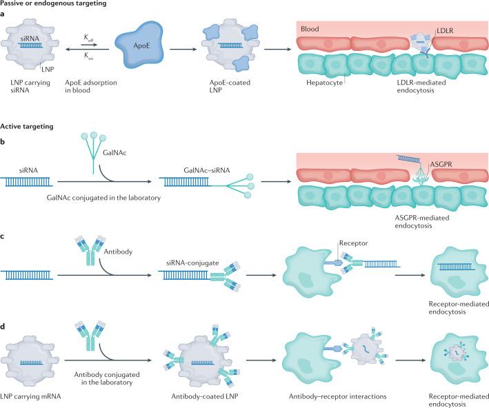 https://cdn.ncbi.nlm.nih.gov/pmc/blobs/42e6/8724758/11efd953ffaa/41576_2021_439_Fig4_HTML.jpg