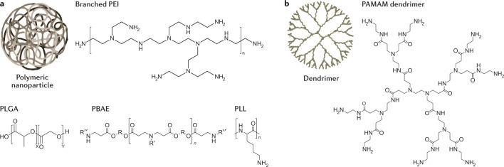 https://cdn.ncbi.nlm.nih.gov/pmc/blobs/42e6/8724758/2deeffdbc588/41576_2021_439_Fig3_HTML.jpg