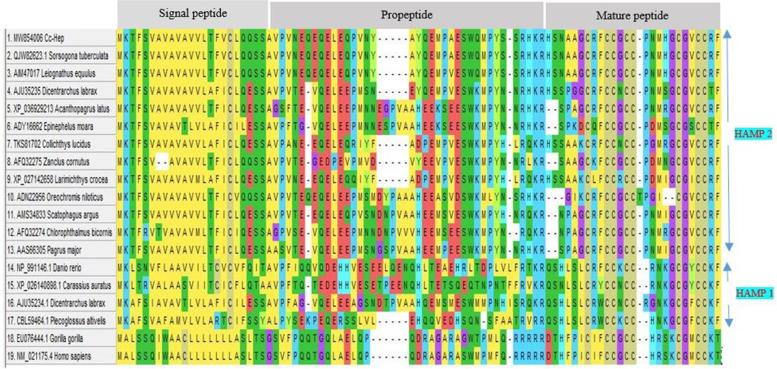 https://cdn.ncbi.nlm.nih.gov/pmc/blobs/42e6/8960508/befc056473be/43141_2022_330_Fig4_HTML.jpg