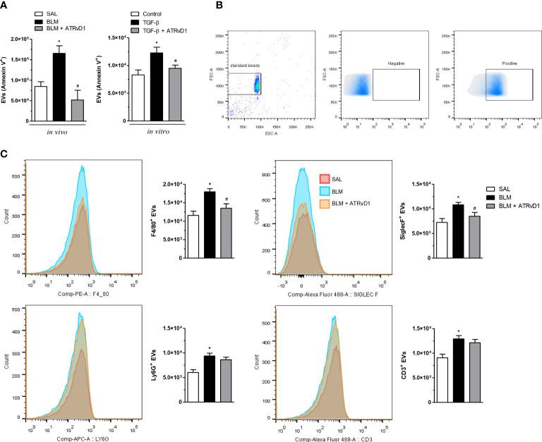 https://cdn.ncbi.nlm.nih.gov/pmc/blobs/42e7/10030054/6ced8e609817/fimmu-14-886601-g004.jpg