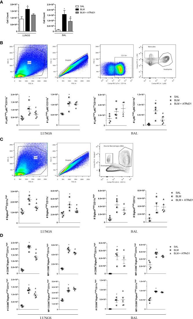 https://cdn.ncbi.nlm.nih.gov/pmc/blobs/42e7/10030054/81851aa9423c/fimmu-14-886601-g002.jpg