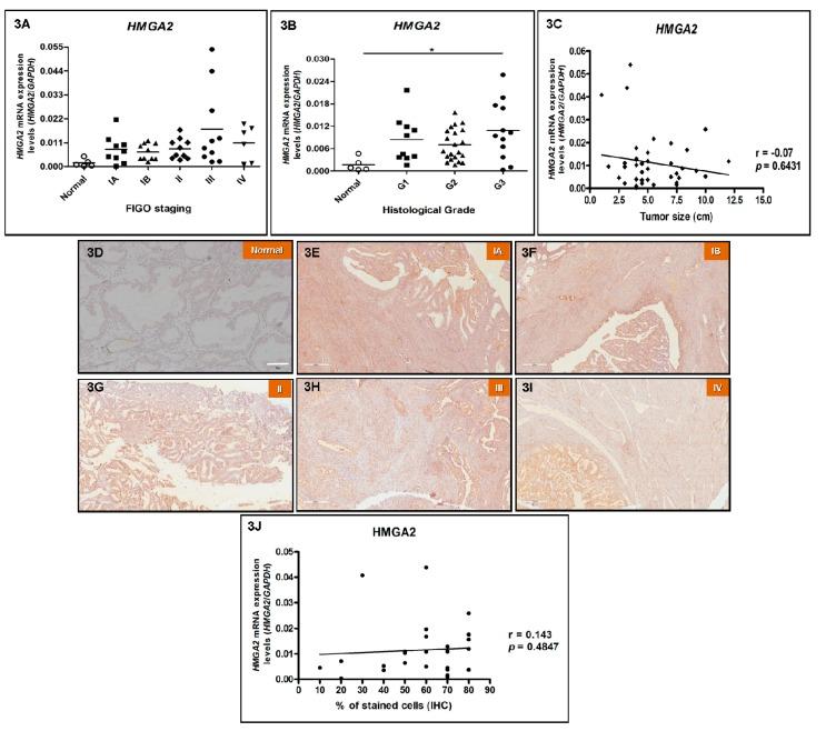 https://cdn.ncbi.nlm.nih.gov/pmc/blobs/42e9/6562754/4d8daa4a1e64/genes-10-00372-g003.jpg