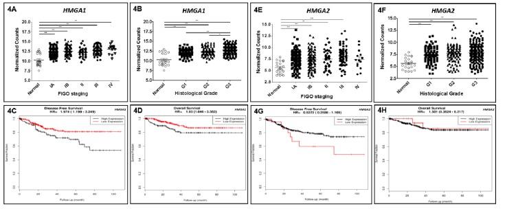 https://cdn.ncbi.nlm.nih.gov/pmc/blobs/42e9/6562754/f84cf88e66d5/genes-10-00372-g004.jpg