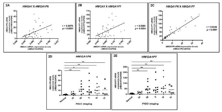 https://cdn.ncbi.nlm.nih.gov/pmc/blobs/42e9/6562754/fe14a8273a28/genes-10-00372-g002.jpg