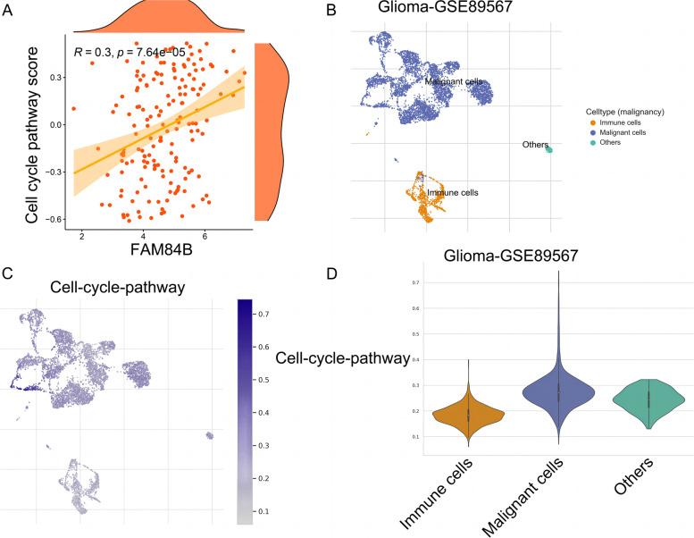 https://cdn.ncbi.nlm.nih.gov/pmc/blobs/42eb/9686022/874f07c9a732/12957_2022_2831_Fig6_HTML.jpg