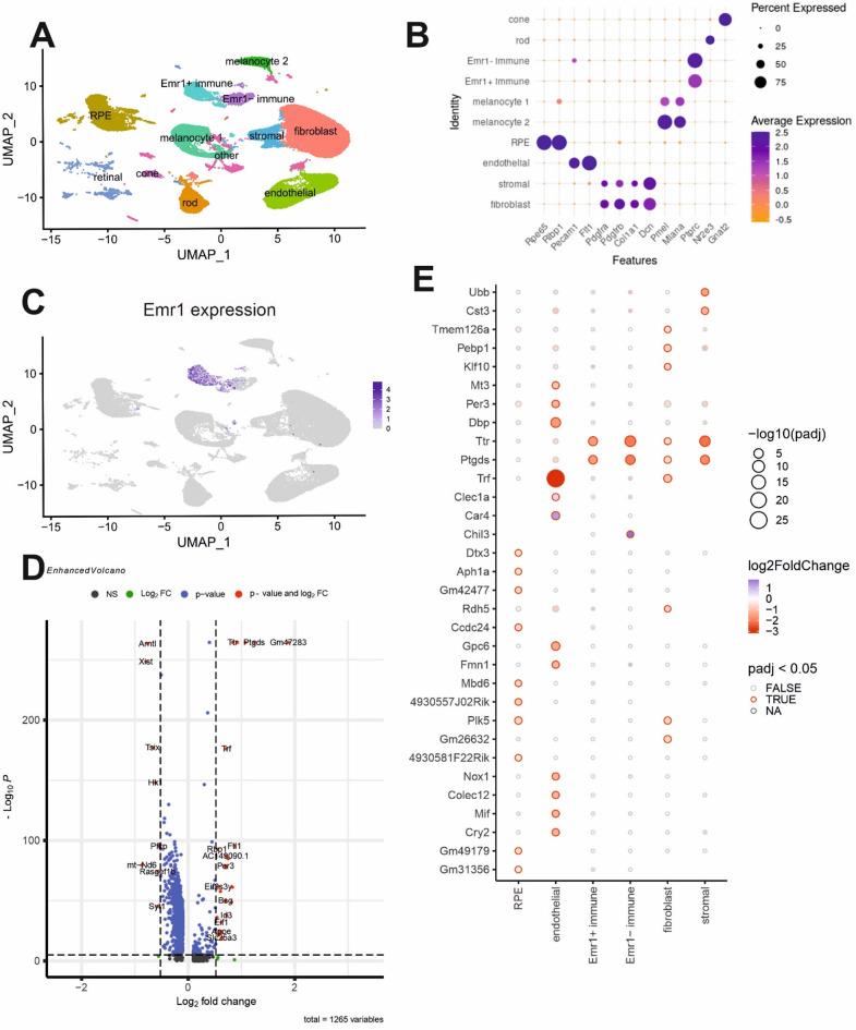 https://cdn.ncbi.nlm.nih.gov/pmc/blobs/42ec/12226897/b43f611933a7/12974_2025_3499_Fig9_HTML.jpg