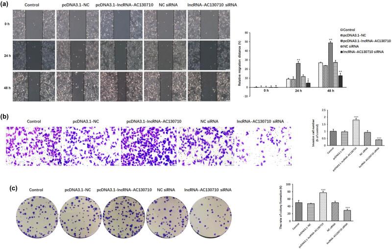 https://cdn.ncbi.nlm.nih.gov/pmc/blobs/42ee/9579860/d6abc88c4c3e/j_med-2022-0587-fig004.jpg