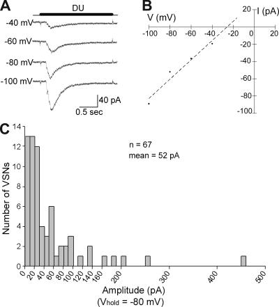 https://cdn.ncbi.nlm.nih.gov/pmc/blobs/42f2/2806418/1e46651f27e2/JGP_200910265_GS_Fig1.jpg