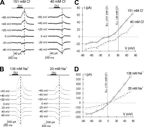 https://cdn.ncbi.nlm.nih.gov/pmc/blobs/42f2/2806418/493805636a51/JGP_200910265_LW_Fig3.jpg