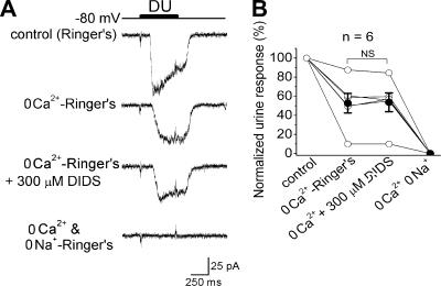 https://cdn.ncbi.nlm.nih.gov/pmc/blobs/42f2/2806418/7d7a04265c04/JGP_200910265_LW_Fig4.jpg