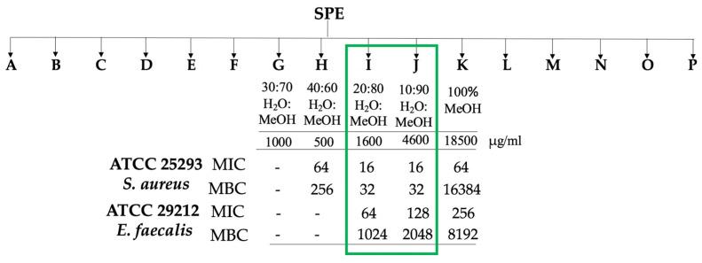 https://cdn.ncbi.nlm.nih.gov/pmc/blobs/42f2/8618426/8b5bff7bc4db/ijms-22-12196-g004.jpg