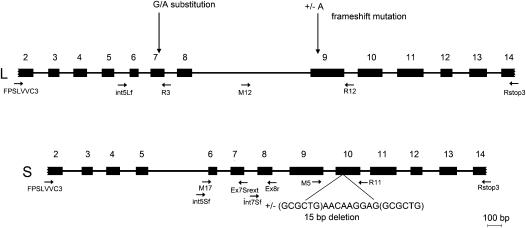 https://cdn.ncbi.nlm.nih.gov/pmc/blobs/42f4/2884200/6523f96f814b/molbiolevolmsq040f01_lw.jpg