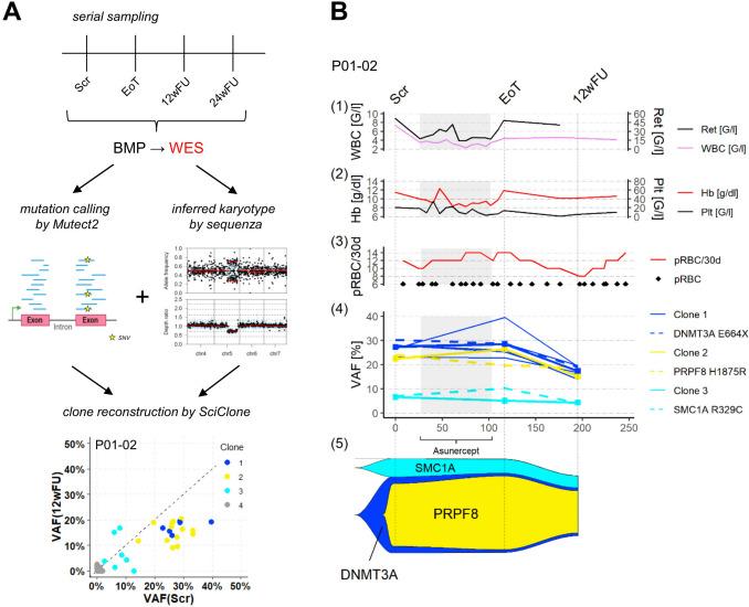 https://cdn.ncbi.nlm.nih.gov/pmc/blobs/42f9/10940491/ee26f1f34118/277_2024_5664_Fig4_HTML.jpg