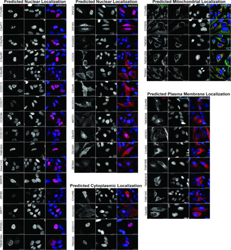 https://cdn.ncbi.nlm.nih.gov/pmc/blobs/42fa/5531611/4f282f5a1bfb/nihms867766f4.jpg