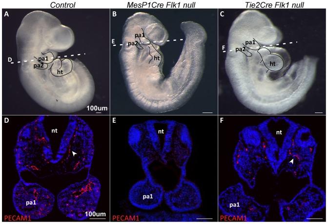 https://cdn.ncbi.nlm.nih.gov/pmc/blobs/42fc/4133721/fac1d069aa8d/bio-03-08-679-f01.jpg