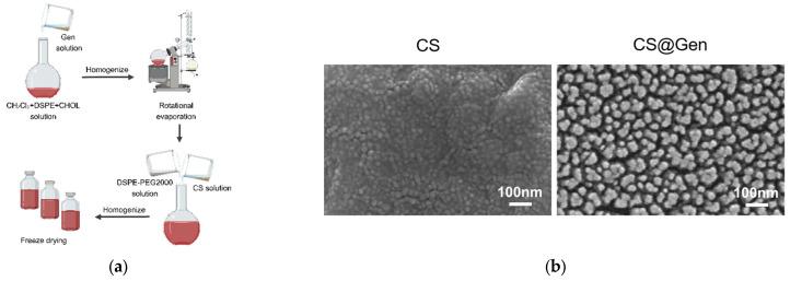 https://cdn.ncbi.nlm.nih.gov/pmc/blobs/42ff/11013271/0e029be52454/nanomaterials-14-00610-g001a.jpg