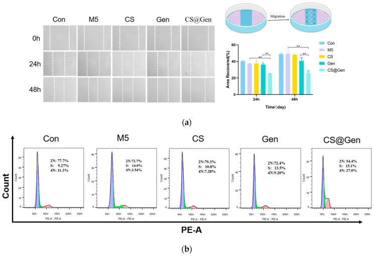 https://cdn.ncbi.nlm.nih.gov/pmc/blobs/42ff/11013271/7f1e64ae49c6/nanomaterials-14-00610-g003.jpg