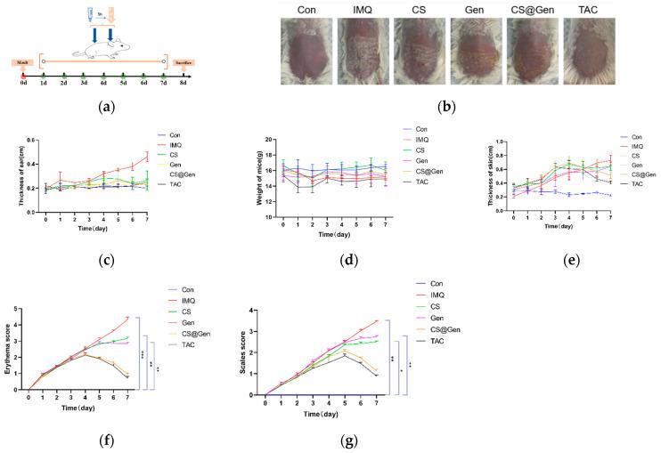 https://cdn.ncbi.nlm.nih.gov/pmc/blobs/42ff/11013271/827db1f04b00/nanomaterials-14-00610-g004.jpg