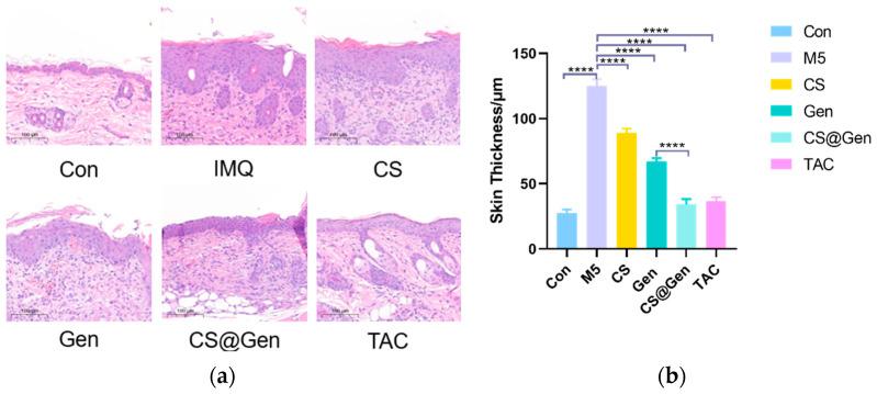 https://cdn.ncbi.nlm.nih.gov/pmc/blobs/42ff/11013271/9e25c9650205/nanomaterials-14-00610-g005.jpg