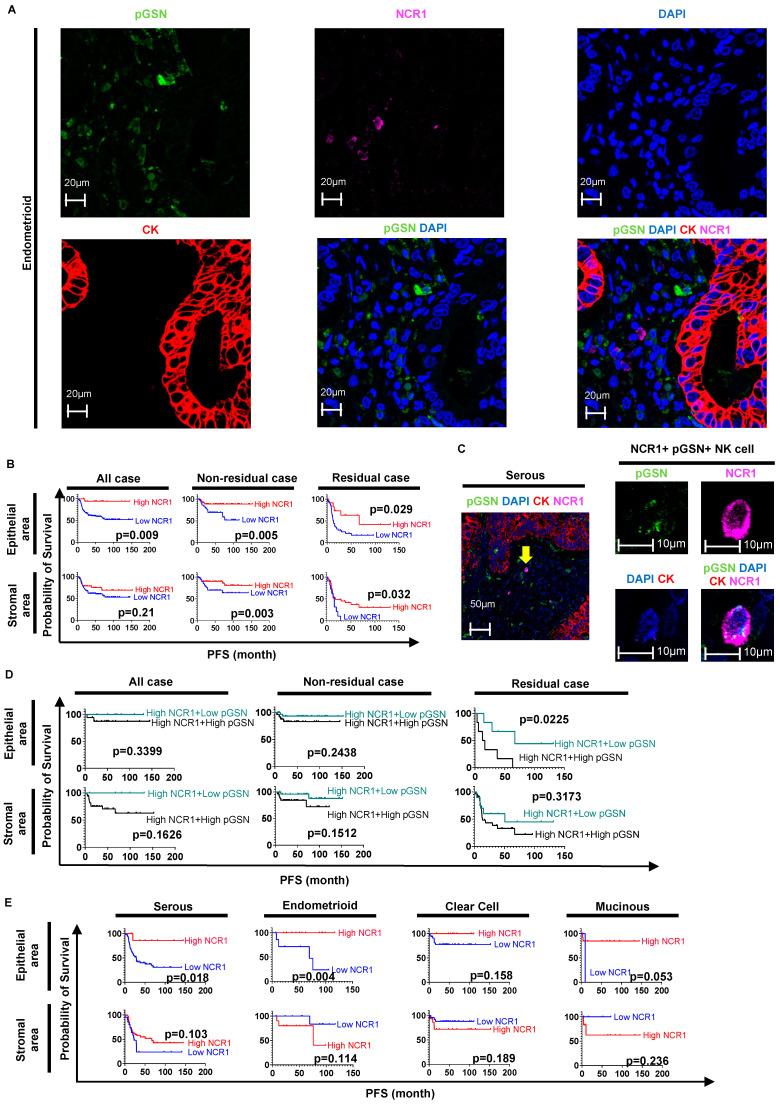 https://cdn.ncbi.nlm.nih.gov/pmc/blobs/4300/11171658/a7af09656d7b/cells-13-00905-g001.jpg