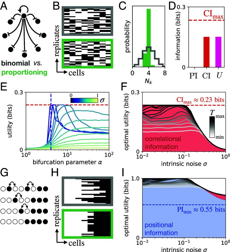 https://cdn.ncbi.nlm.nih.gov/pmc/blobs/4303/11161761/3f9e54efbb64/pnas.2322326121fig05.jpg
