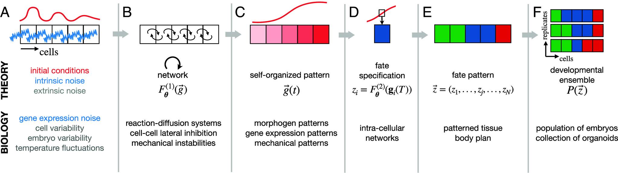 https://cdn.ncbi.nlm.nih.gov/pmc/blobs/4303/11161761/5a1b5e4be9c2/pnas.2322326121fig02.jpg