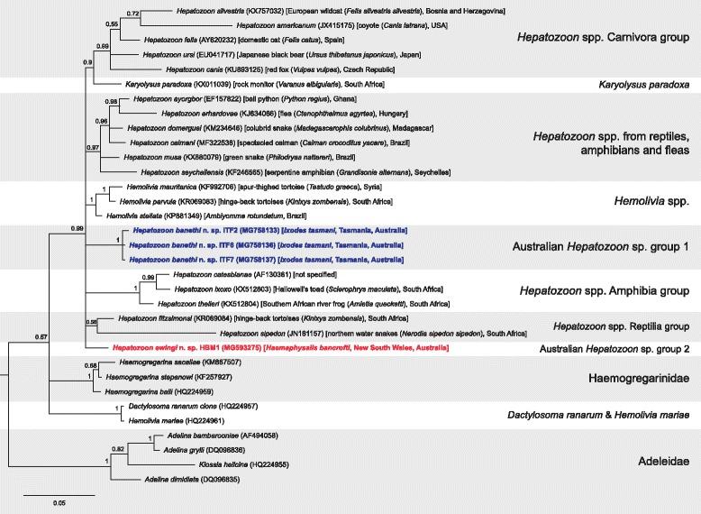 https://cdn.ncbi.nlm.nih.gov/pmc/blobs/4303/5859549/ee434c372262/13071_2018_2775_Fig3_HTML.jpg