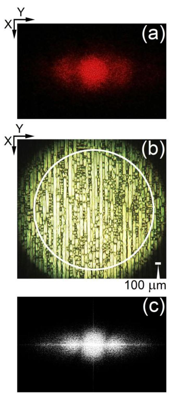 https://cdn.ncbi.nlm.nih.gov/pmc/blobs/4304/10488426/e85f7517e396/materials-16-06014-g005.jpg