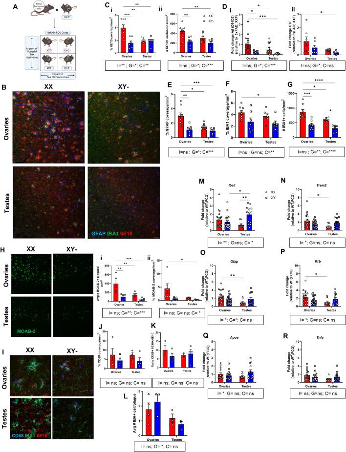 https://cdn.ncbi.nlm.nih.gov/pmc/blobs/4305/11907917/4796891120be/12974_2025_3404_Fig1_HTML.jpg