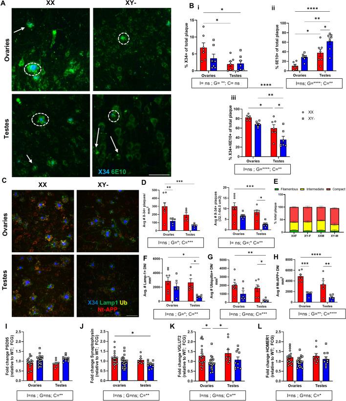 https://cdn.ncbi.nlm.nih.gov/pmc/blobs/4305/11907917/b2aaa57e84b8/12974_2025_3404_Fig2_HTML.jpg