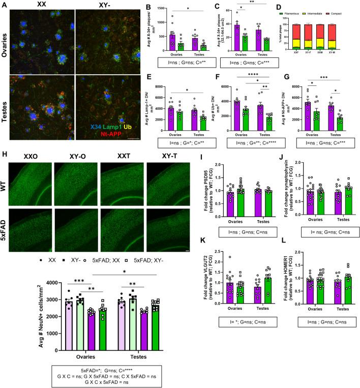 https://cdn.ncbi.nlm.nih.gov/pmc/blobs/4305/11907917/eeb5388b2193/12974_2025_3404_Fig4_HTML.jpg