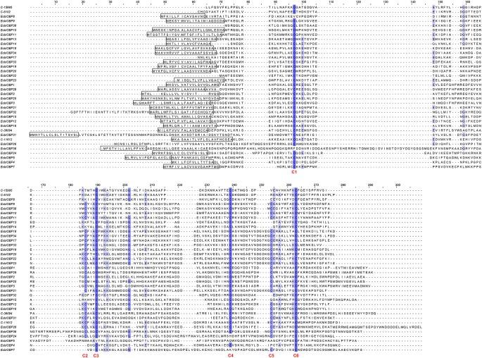 https://cdn.ncbi.nlm.nih.gov/pmc/blobs/4307/6247094/1a717f08c170/fphys-09-01602-g001.jpg
