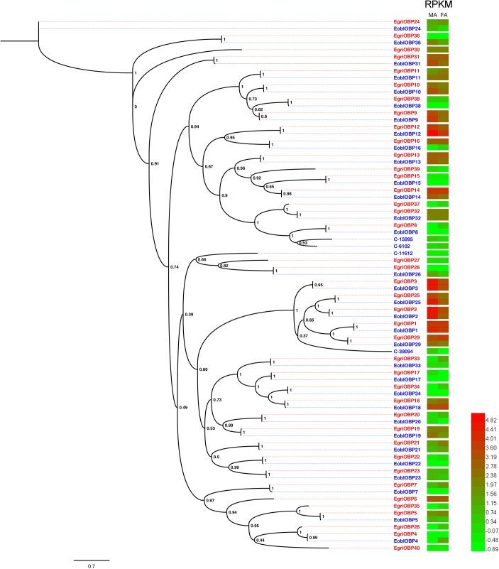 https://cdn.ncbi.nlm.nih.gov/pmc/blobs/4307/6247094/e4d752e4bd83/fphys-09-01602-g004.jpg