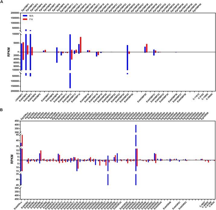 https://cdn.ncbi.nlm.nih.gov/pmc/blobs/4307/6247094/f42842c6cdab/fphys-09-01602-g006.jpg