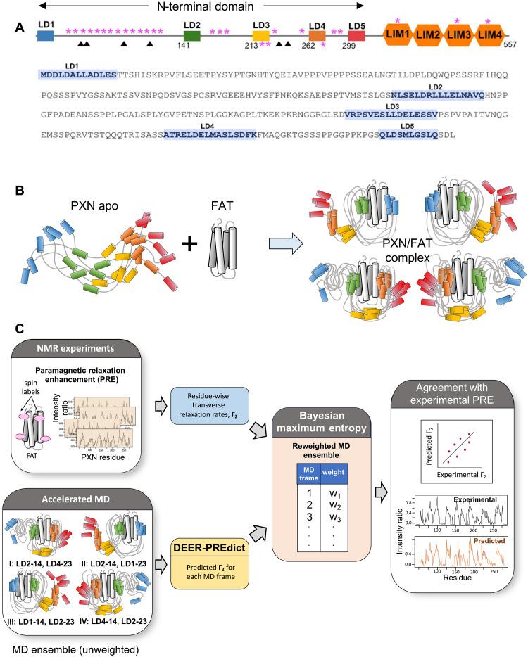 https://cdn.ncbi.nlm.nih.gov/pmc/blobs/4308/12175908/43bfcff9f058/sciadv.adt9936-f1.jpg