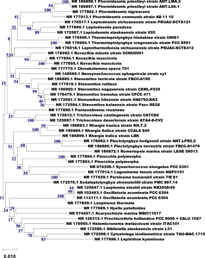 https://cdn.ncbi.nlm.nih.gov/pmc/blobs/4309/12355241/3ae2904e7dce/ao3c10438_0001.jpg